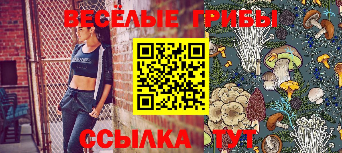 Сертолово  Псилоцибиновые грибы Magic Shrooms  Вход с VPN  Галлюциногенные грибы MAGIC MUSHROOMS 