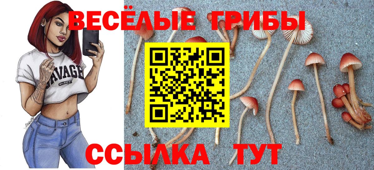 Галлюциногенные грибы Psilocybine cubensis Сертолово